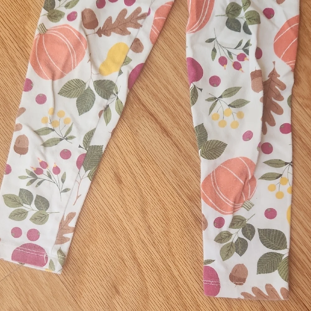 The Children's Place Festive Leggings Set Christmas And Fall 3T